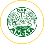 Pollard Gandum Cap Angsa