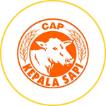 Pellet Gandum Cap Kepala Sapi