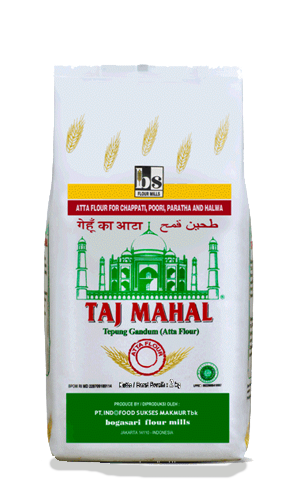 Taj Mahal 3