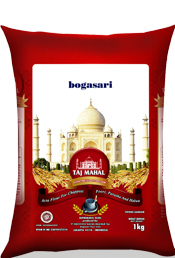 Taj Mahal 4